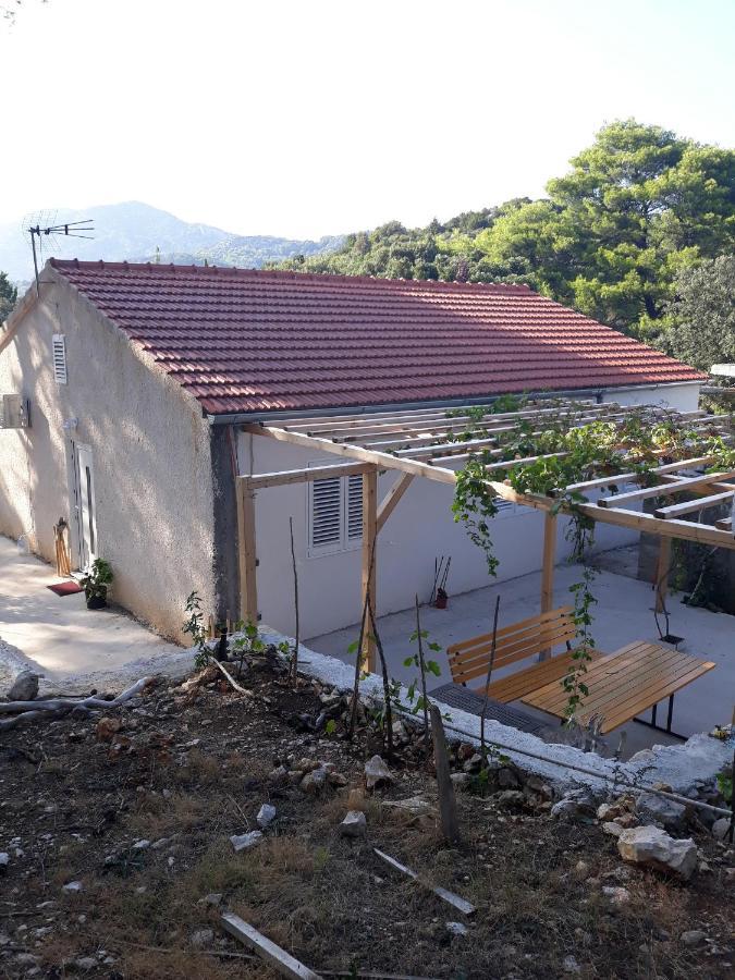 Apartments By The Sea Cove Blaca, Mljet - 4899 사플루나라 외부 사진